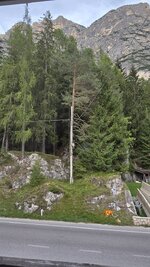 20260920_182055.jpg