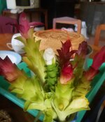 DSCN0244~2.JPG