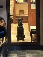 IMG_9363.jpeg