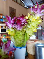 IMG_20250719_084517_101.jpg