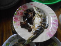DSCN8548.JPG