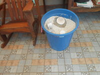 DSCN8496.JPG
