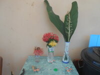 DSCN8498.JPG