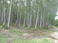 DSCN8586.JPG