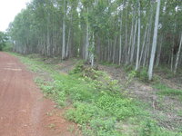 DSCN8585.JPG