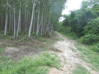 DSCN8588.JPG