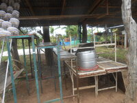 DSCN8595.JPG