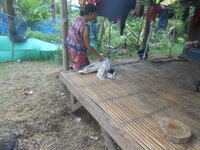 DSCN8604.JPG