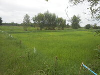 DSCN8620.JPG