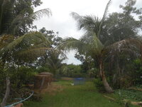 DSCN8623.JPG