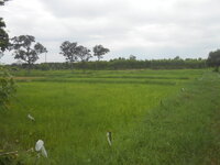 DSCN8621.JPG