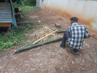 DSCN8625.JPG DSCN8625.JPG