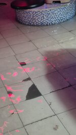 20260924_015557.jpg