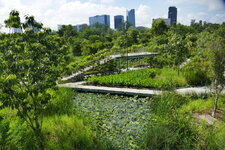 P2940242.JPG