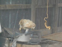 DSCN8615.JPG