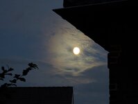 PXL_20260923_180018170.jpg