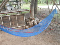 DSCN8628.JPG