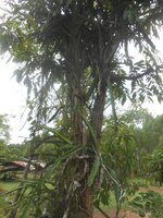DSCN8607~2.JPG