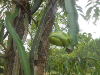 DSCN8606.JPG