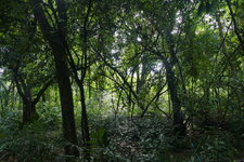 P2940803.JPG
