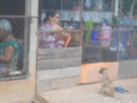 DSCN8642.JPG