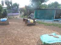 DSCN8646.JPG