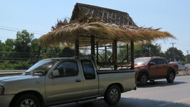 IMG_2613.jpeg