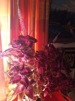 IMG_20230914_103547_443.jpg
