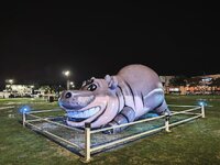 IMG_20260926_224604.jpg