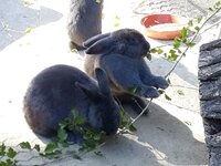 IMG-20260919-WA0060.jpg