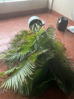 IMG_6122.jpeg IMG_6122.jpeg