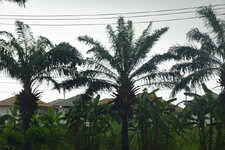 DSC02715.JPG