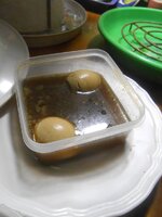 DSCN8462~2.JPG