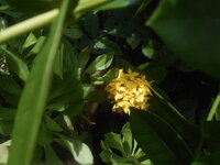 DSCN8718.JPG