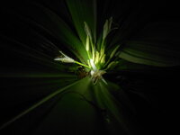 DSCN9087.JPG