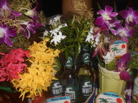 DSCN8721.JPG