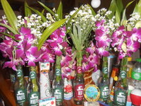 DSCN7163.JPG