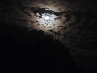 20260927_205431.jpg