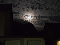 20260927_205423.jpg