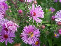 IMG-20260927-WA0078.jpg