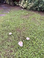 IMG_9378.jpeg IMG_9378.jpeg