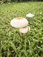 IMG_9379.jpeg IMG_9379.jpeg