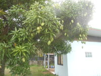 DSCN8516.JPG