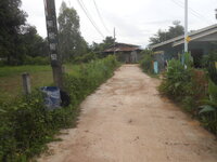 DSCN8519.JPG