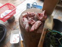 DSCN8681.JPG