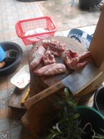DSCN8683~2.JPG