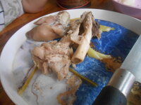 DSCN8685.JPG
