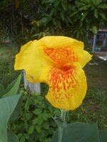 DSCN8515~2.JPG