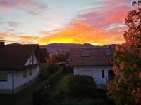 IMG_20221108_071324.jpg