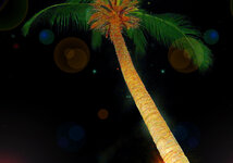 palm_.jpg